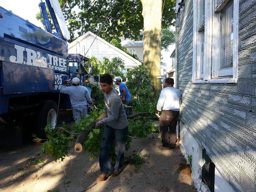 Media Gallery JRs Tree Service