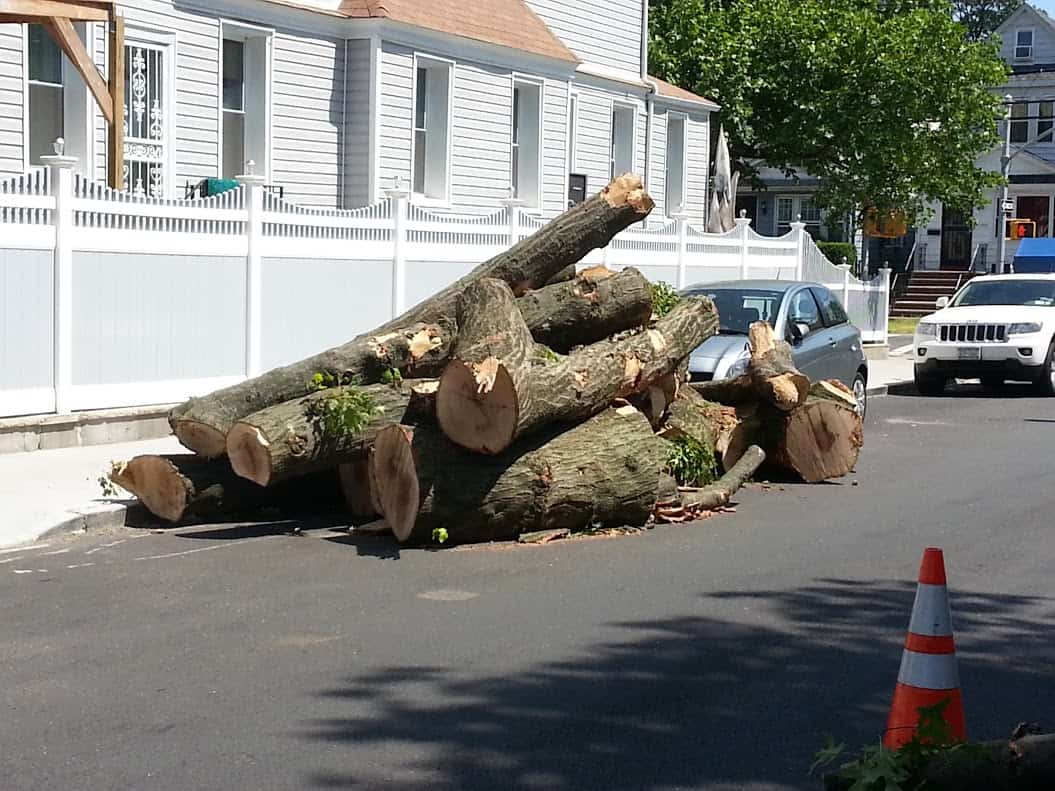 Media Gallery JRs Tree Service